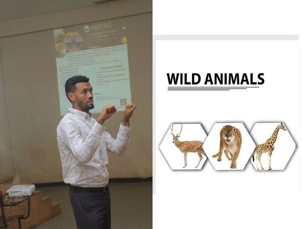 Aquatic veterinary training and rehabilitation