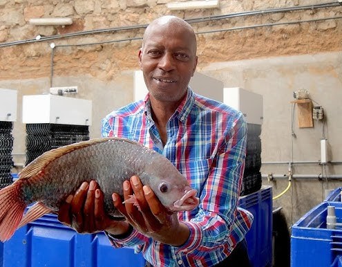 Marine animal health care in the field